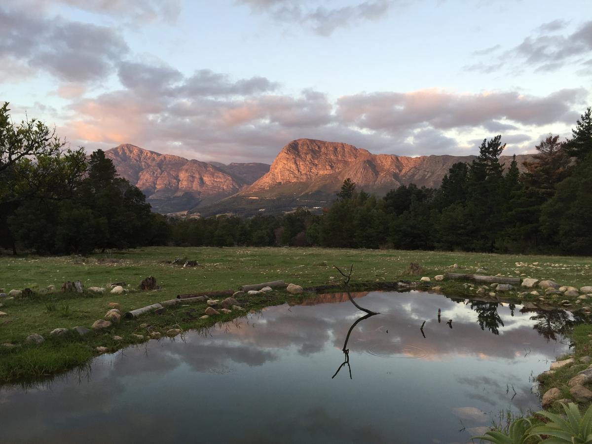 Country Alojamento de Turismo Selvagem *