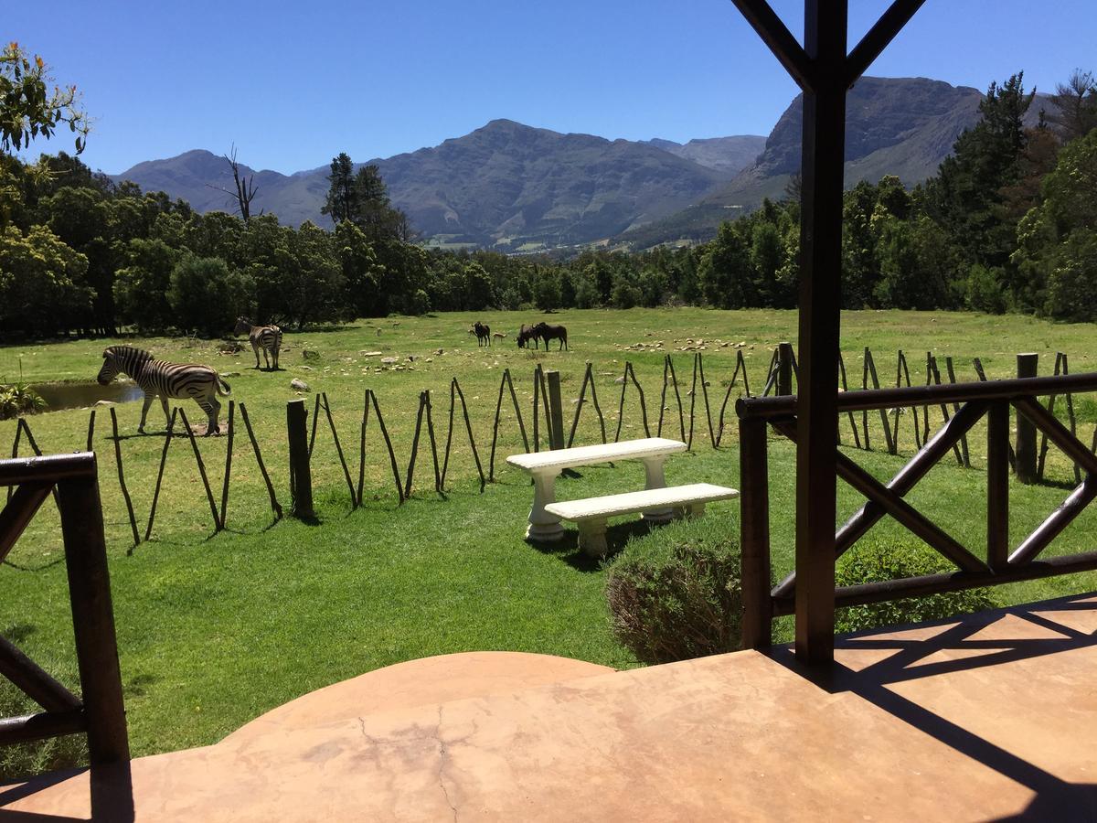 Country * Franschhoek